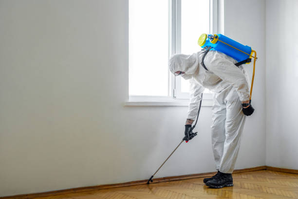 Best Pest Exclusion Services  in Chestnut Ridge, NY